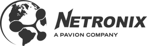 merger acquisitions pavion - netronix